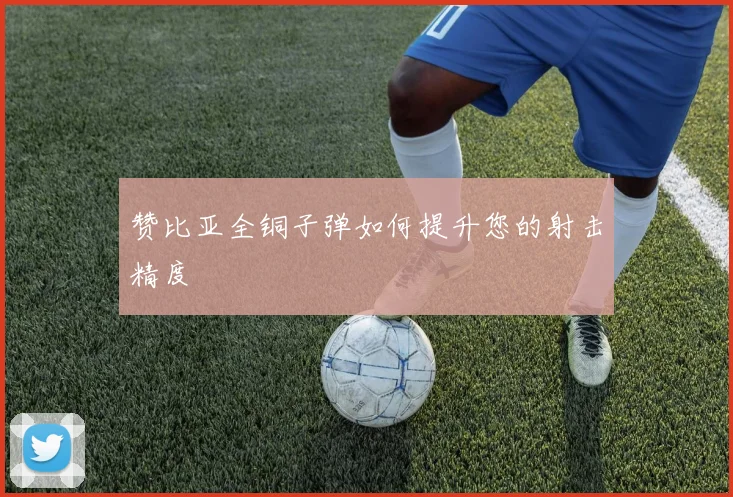 赞比亚全铜子弹如何提升您的射击精度