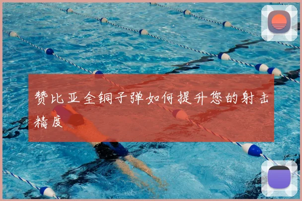 赞比亚全铜子弹如何提升您的射击精度
