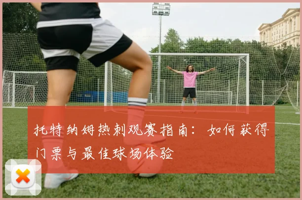 托特纳姆热刺观赛指南：如何获得门票与最佳球场体验