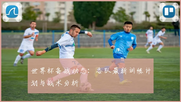 世界杯备战动态：各队最新训练计划与战术分析